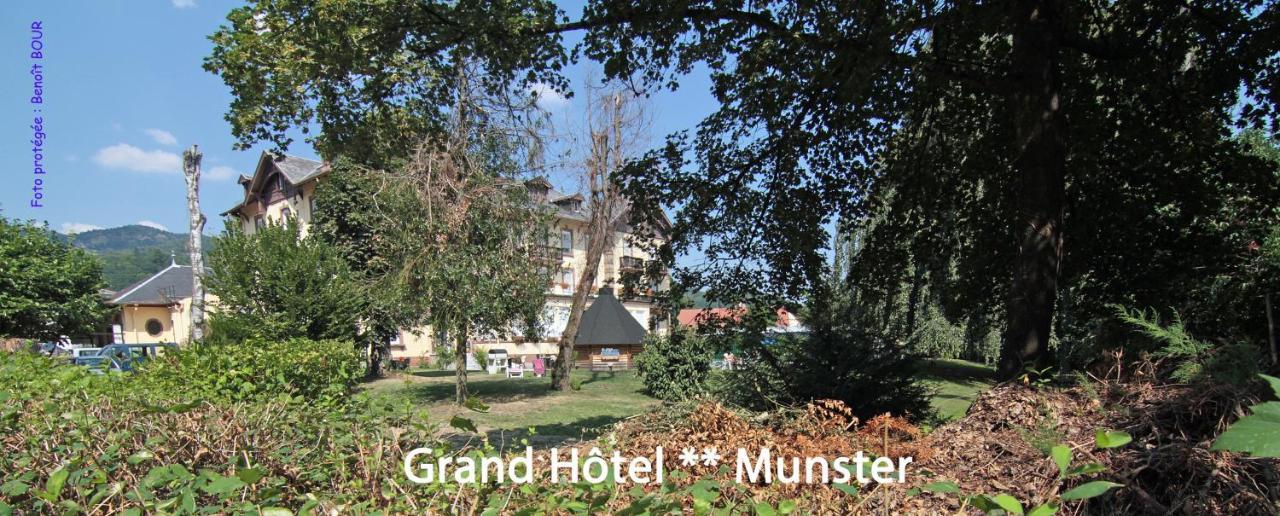 Brit Hotel Grand Hotel Munster Munster  Eksteriør billede